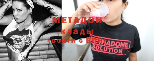 прущие грибы Горняк