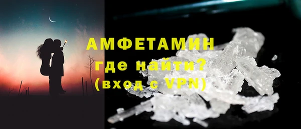 прущие грибы Горняк