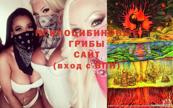 гашишное масло Горнозаводск