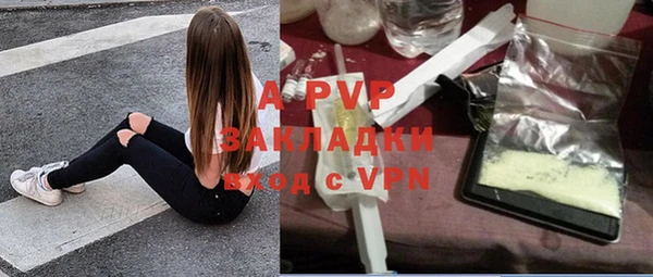 прущие грибы Горняк