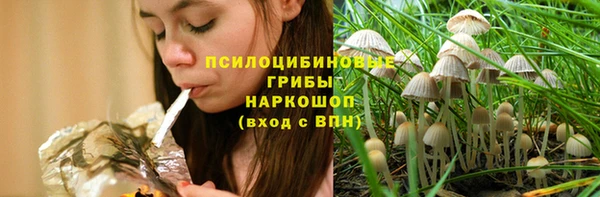 прущие грибы Горняк
