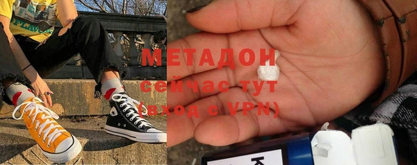 прущие грибы Горняк
