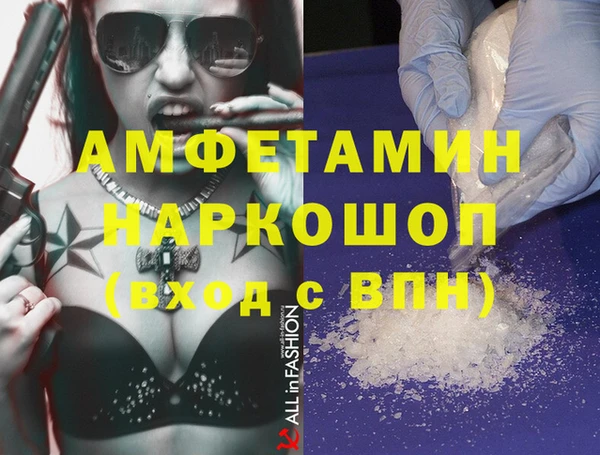 прущие грибы Горняк