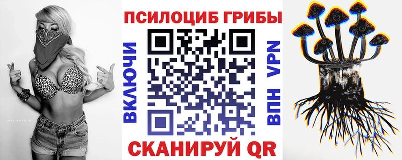Купить закладки  Шарья  Галлюциногенные грибы MAGIC MUSHROOMS 